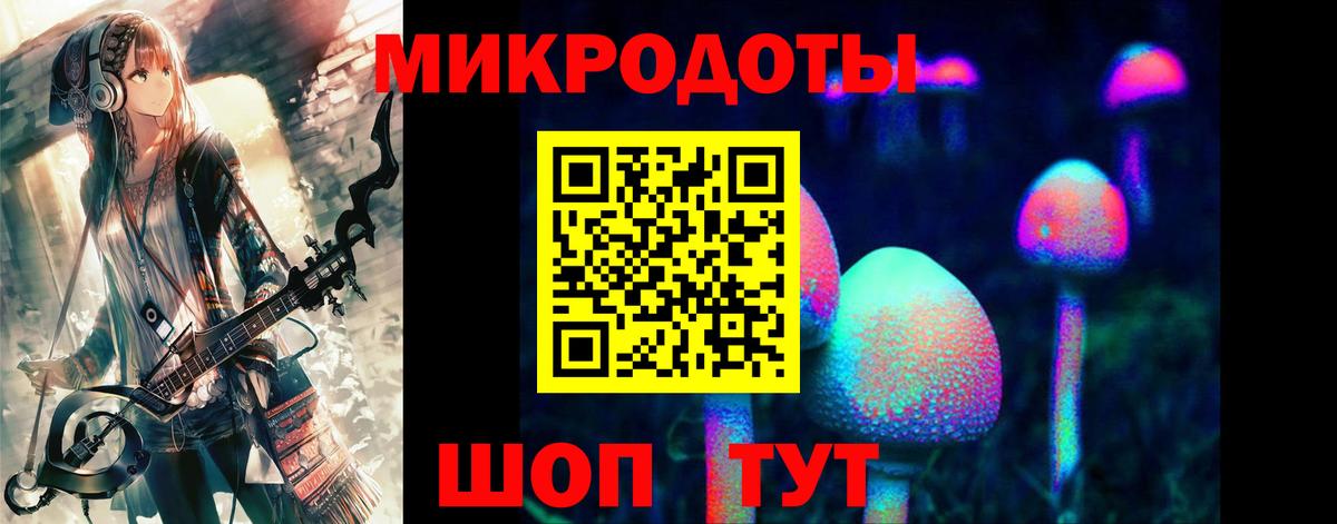 Галлюциногенные грибы Cubensis Чапаевск